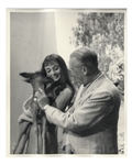 Audrey Hepburn Personally Owned 8 x 10 Production Still From Green Mansions -- Hepburn Is Shown With Ip the Deer